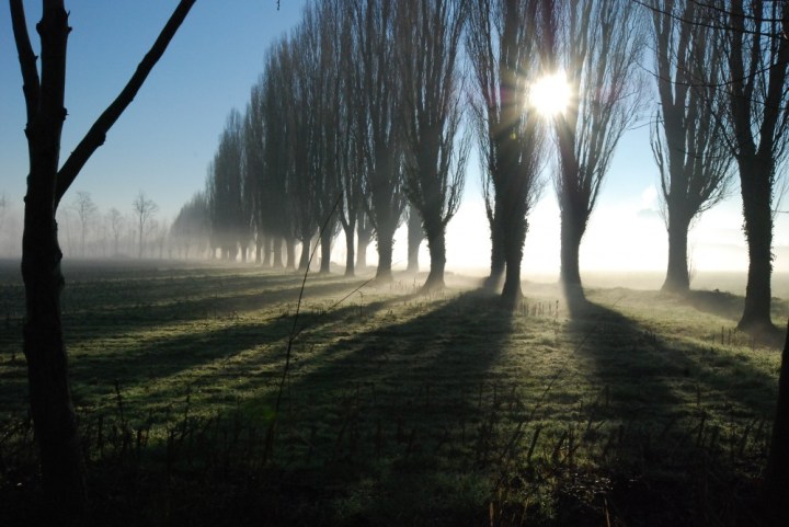 Alla vostra destra...