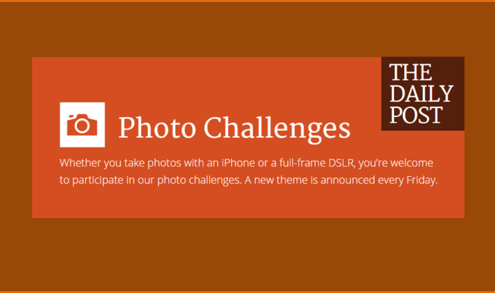 Weekly Photo Challenge - Cover