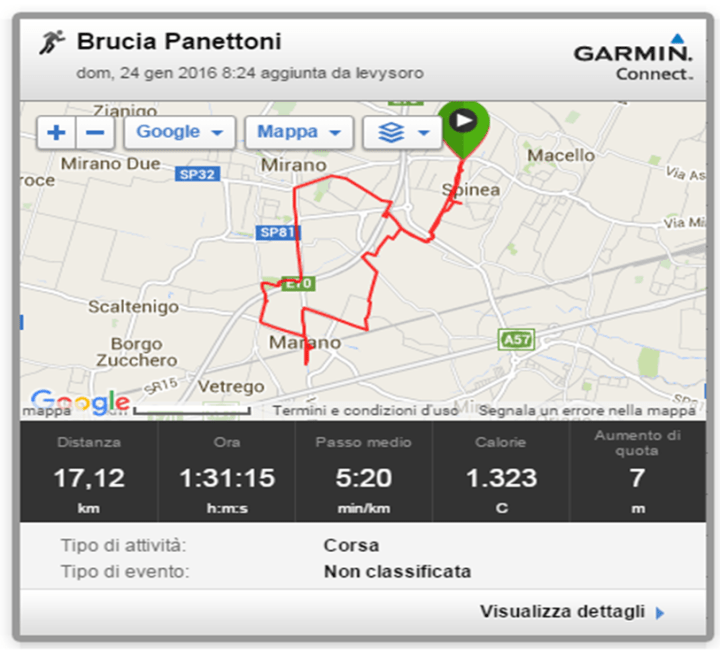 Il rapporto di Garmin Connect