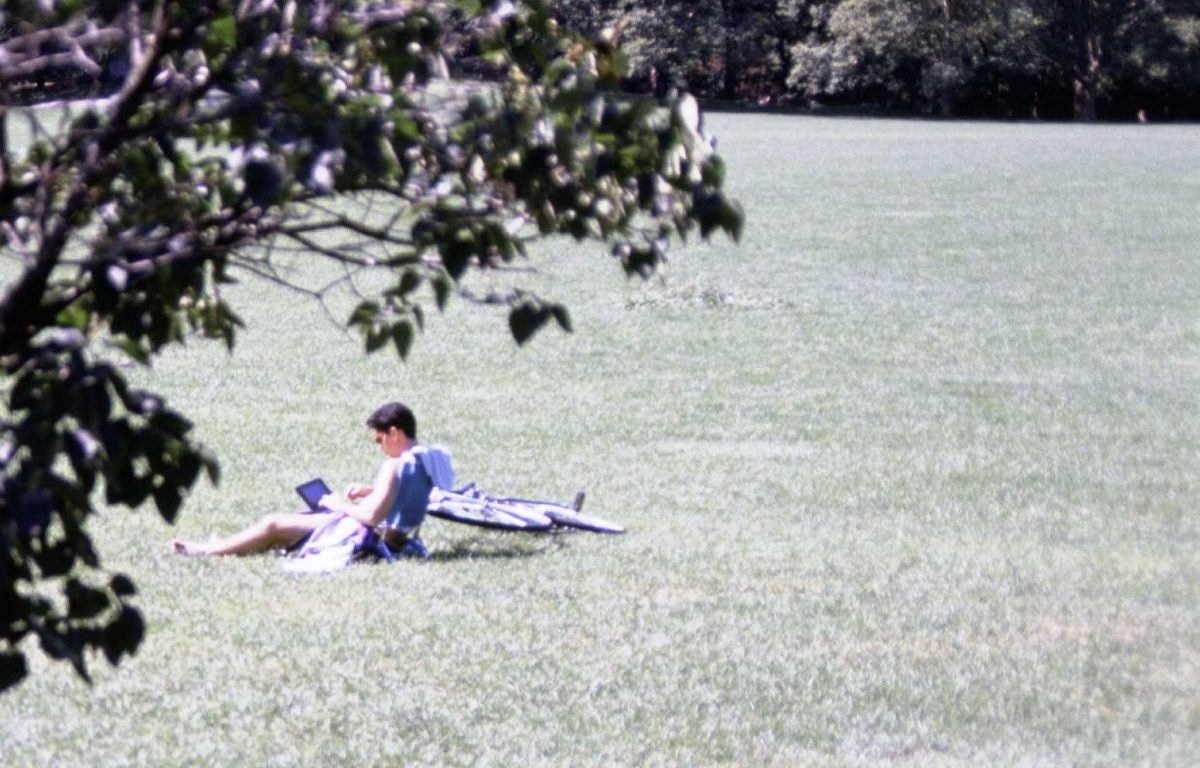 Summer in Central Park, NYC