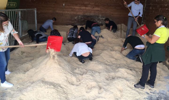 Alla ricerca delle uova d'oro