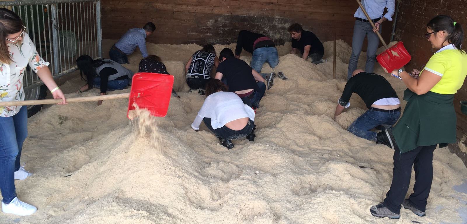 Alla ricerca delle uova d'oro